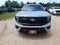 2027 Ford Expedition Platinum 4x4